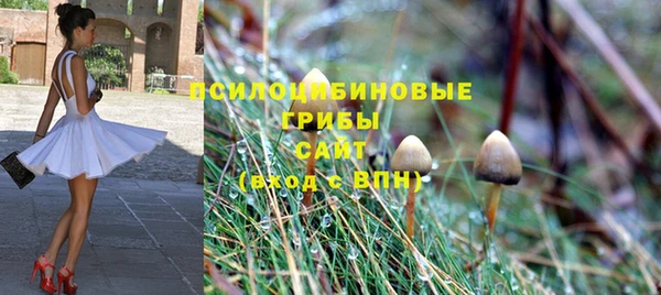 прущий лед Киреевск